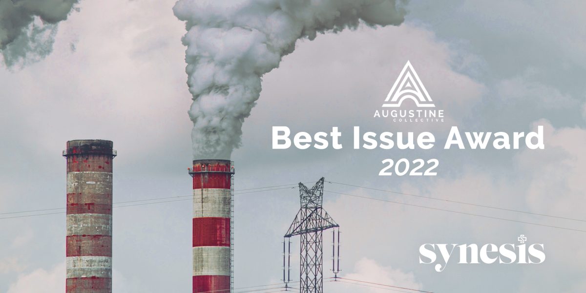 Issue XI Wins "Best Issue"