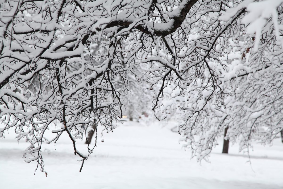 Falling Away From God: An Over-Rationalization