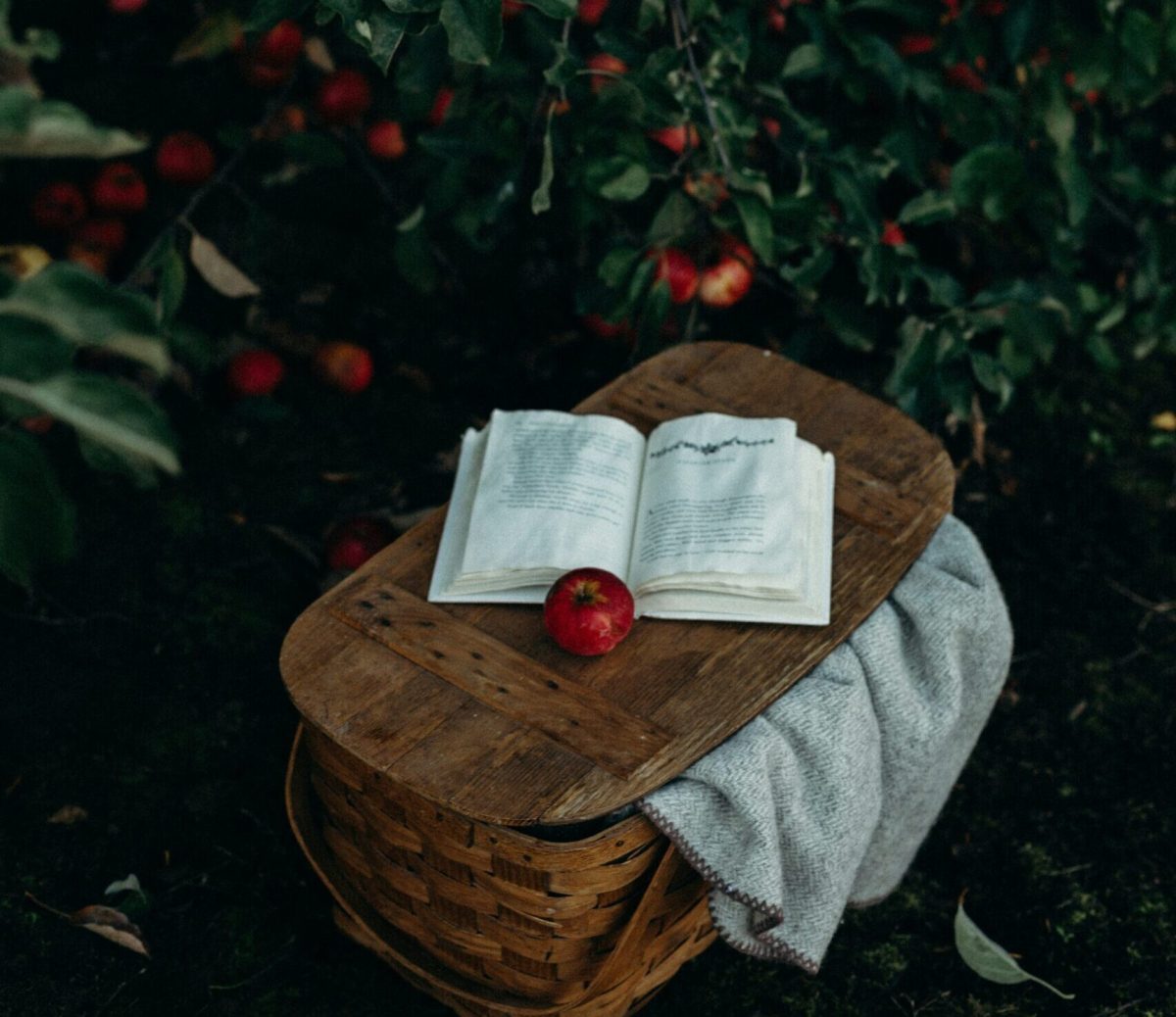 The Weary Giving Tree: What Does a Teacher Owe to This World?