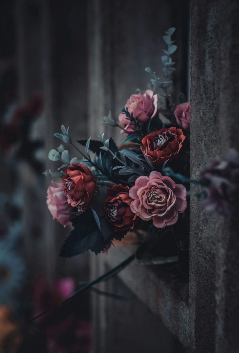 Living Isn't Dying: The Biblical Definition of Life