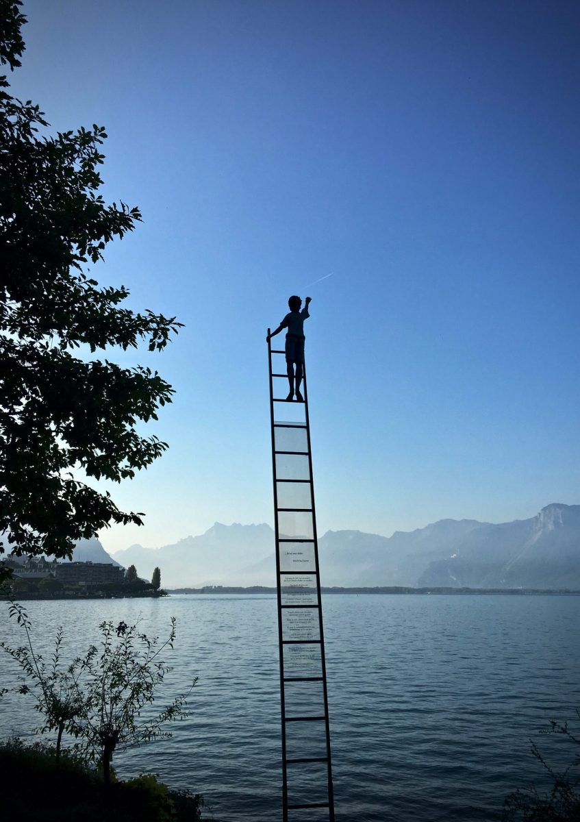 Beyond Productivity and Into Purpose